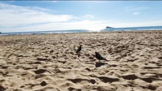 COMPLETELY NAKED AND MASTURBATING AT BENIDORM BEACH SAMPLE