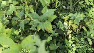 Public Nettles in Bra - Directors Cut