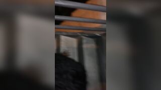 Fucking a black girl in the car and behind a building on the stairs