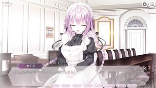 [Eroge] Naughty underwear of a beautiful girl maid