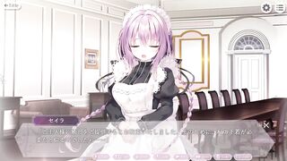 [Eroge] Naughty underwear of a beautiful girl maid