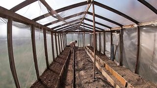 Nude house wife working in the greenhouse